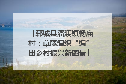 郓城县潘渡镇杨庙村：草藤编织“编”出乡村振兴新图景