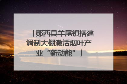 郧西县羊尾镇搭建调制大棚激活烟叶产业“新动能”