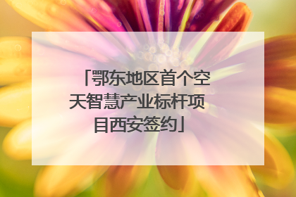 鄂东地区首个空天智慧产业标杆项目西安签约