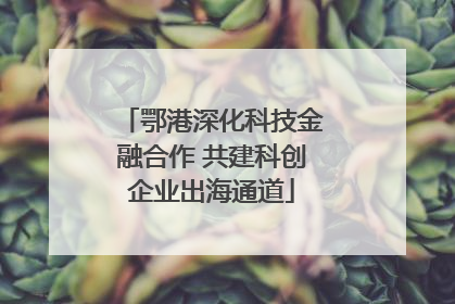 鄂港深化科技金融合作 共建科创企业出海通道