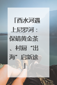 酉水河遇上尼罗河：保靖黄金茶、村厨“出海”启新途