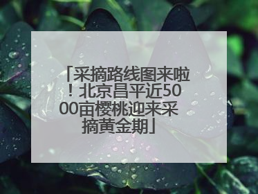 采摘路线图来啦！北京昌平近5000亩樱桃迎来采摘黄金期