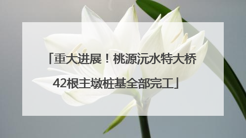 重大进展！桃源沅水特大桥42根主墩桩基全部完工