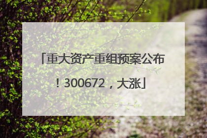 重大资产重组预案公布！300672，大涨