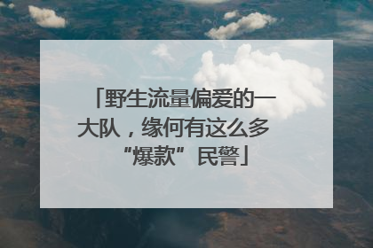 野生流量偏爱的一大队，缘何有这么多“爆款”民警
