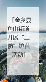 金乡县鱼山街道开展“三防”护苗活动