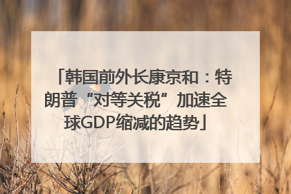 韩国前外长康京和：特朗普“对等关税”加速全球GDP缩减的趋势