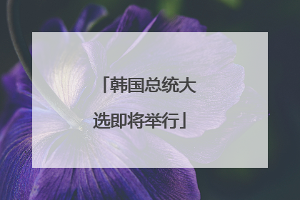 韩国总统大选即将举行