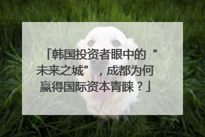 韩国投资者眼中的“未来之城”，成都为何赢得国际资本青睐？