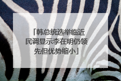 韩总统选举临近 民调显示李在明仍领先但优势缩小