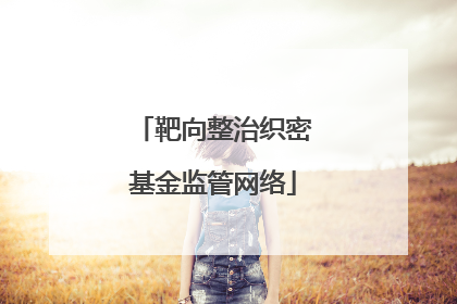 靶向整治织密基金监管网络