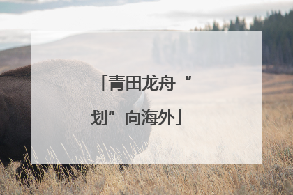 青田龙舟“划”向海外