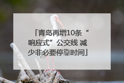 青岛再增10条“响应式”公交线 减少非必要停靠时间