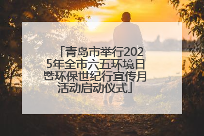 青岛市举行2025年全市六五环境日暨环保世纪行宣传月活动启动仪式
