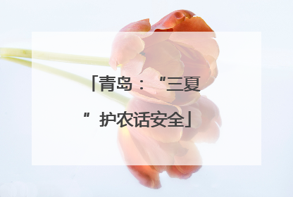青岛：“三夏”护农话安全