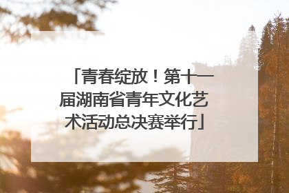 青春绽放！第十一届湖南省青年文化艺术活动总决赛举行
