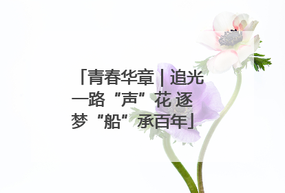 青春华章｜追光一路“声”花 逐梦“船”承百年