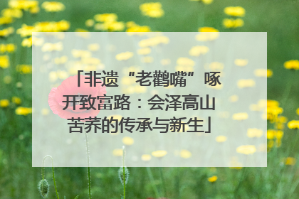 非遗“老鹳嘴”啄开致富路：会泽高山苦荞的传承与新生