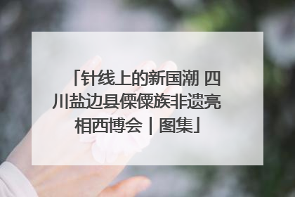 针线上的新国潮 四川盐边县傈僳族非遗亮相西博会｜图集