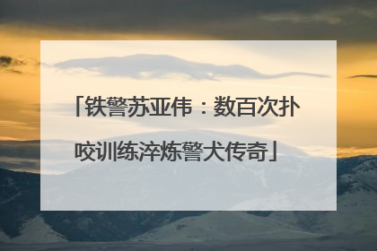 铁警苏亚伟：数百次扑咬训练淬炼警犬传奇