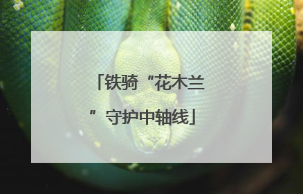 铁骑“花木兰”守护中轴线