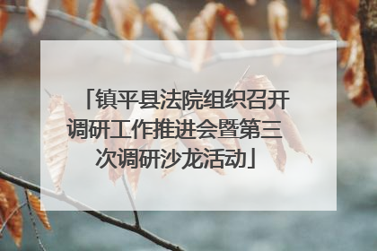 镇平县法院组织召开调研工作推进会暨第三次调研沙龙活动