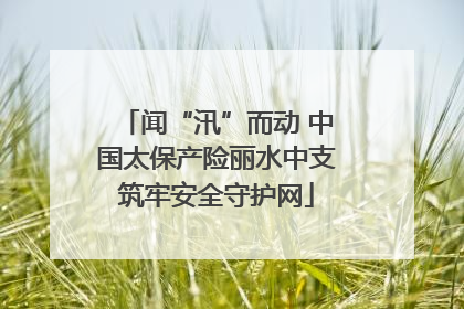 闻“汛”而动 中国太保产险丽水中支筑牢安全守护网