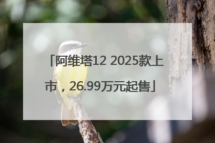 阿维塔12 2025款上市，26.99万元起售