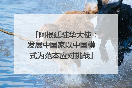 阿根廷驻华大使：发展中国家以中国模式为范本应对挑战