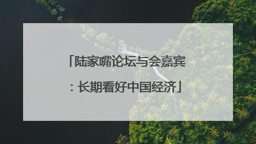 陆家嘴论坛与会嘉宾：长期看好中国经济