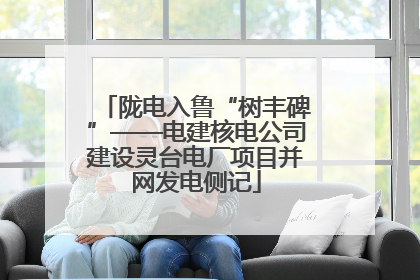 陇电入鲁“树丰碑”——电建核电公司建设灵台电厂项目并网发电侧记