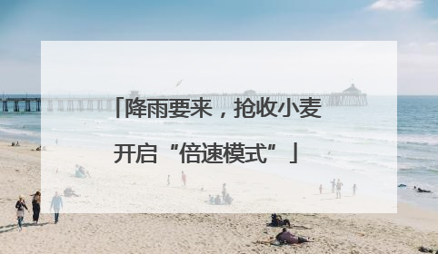 降雨要来，抢收小麦开启“倍速模式”