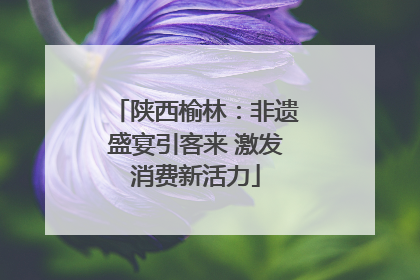 陕西榆林：非遗盛宴引客来 激发消费新活力