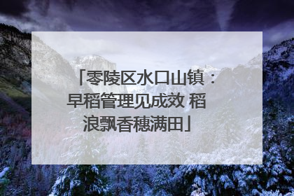 零陵区水口山镇：早稻管理见成效 稻浪飘香穗满田