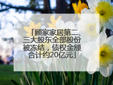 顾家家居第二、三大股东全部股份被冻结，债权金额合计约20亿元