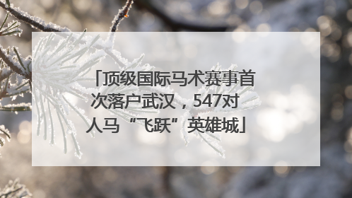 顶级国际马术赛事首次落户武汉，547对人马“飞跃”英雄城