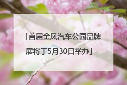 首届金凤汽车公园品牌展将于5月30日举办