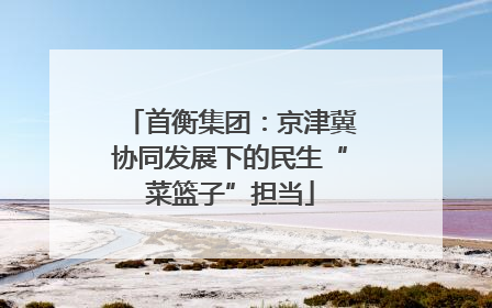 首衡集团：京津冀协同发展下的民生“菜篮子”担当