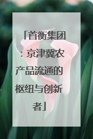 首衡集团：京津冀农产品流通的枢纽与创新者