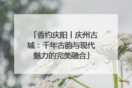 香约庆阳丨庆州古城：千年古韵与现代魅力的完美融合