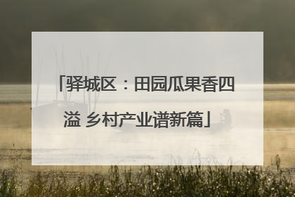 驿城区：田园瓜果香四溢 乡村产业谱新篇