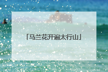 马兰花开遍太行山
