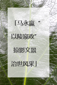 马永嬴“以陵窥政” 掠影文景治世风采