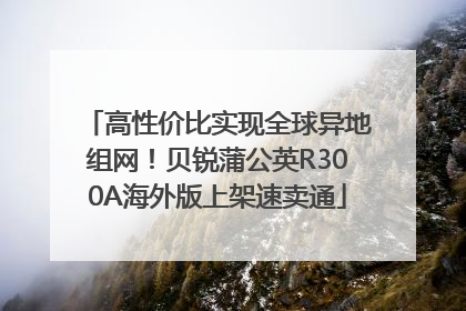 高性价比实现全球异地组网！贝锐蒲公英R300A海外版上架速卖通