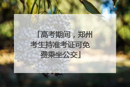 高考期间，郑州考生持准考证可免费乘坐公交