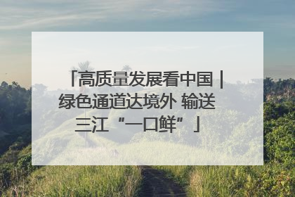 高质量发展看中国｜绿色通道达境外 输送三江“一口鲜”