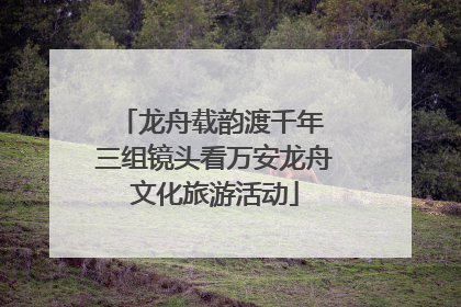 龙舟载韵渡千年 三组镜头看万安龙舟文化旅游活动