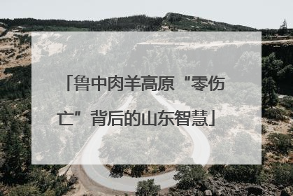 鲁中肉羊高原“零伤亡”背后的山东智慧