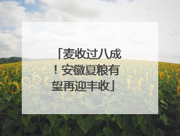 麦收过八成！安徽夏粮有望再迎丰收