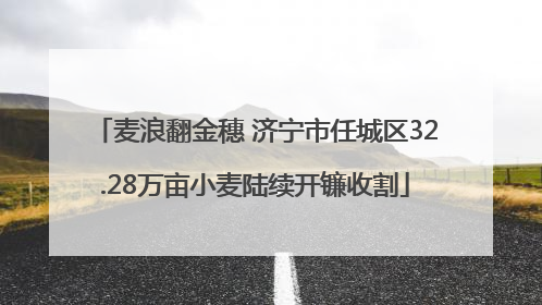 麦浪翻金穗 济宁市任城区32.28万亩小麦陆续开镰收割